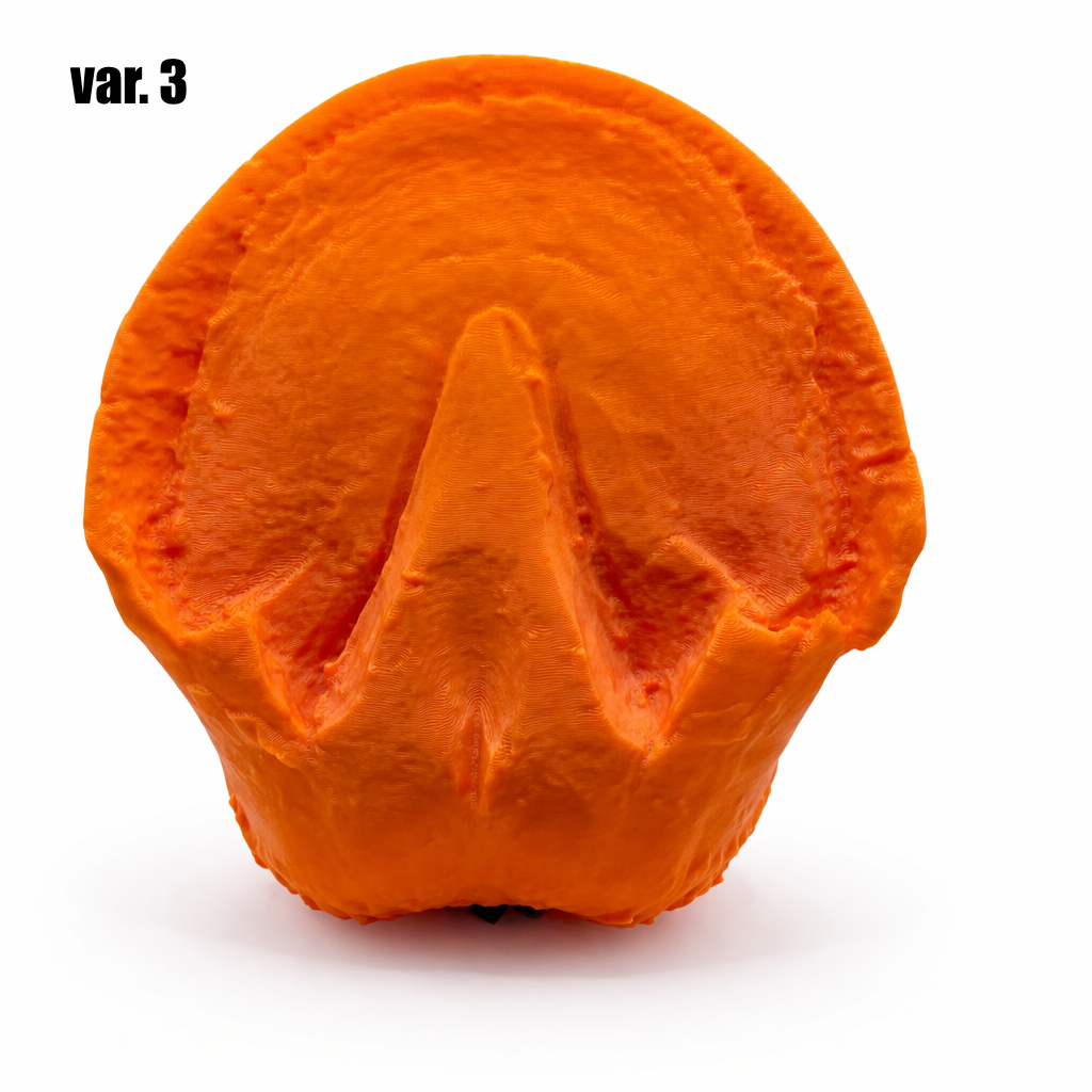 3D-Anatomie-Übungshuf