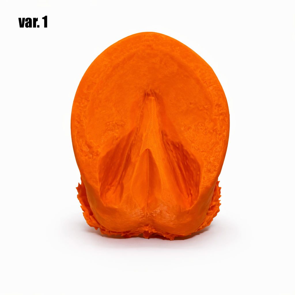 3D-Anatomie-Übungshuf