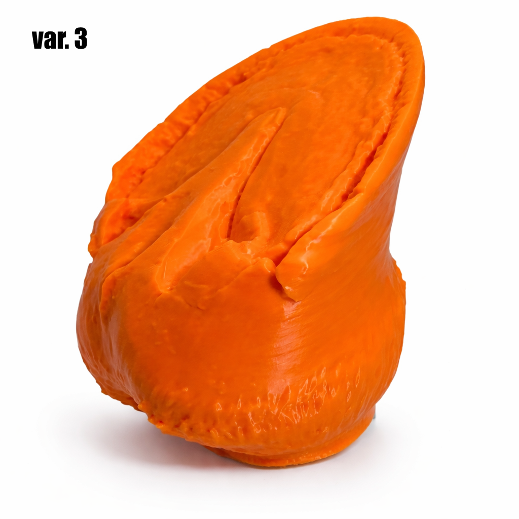 3D-Anatomie-Übungshuf