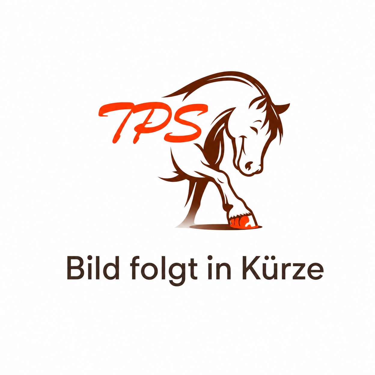 TPS Stützteller 125 mm – Passend für den Winkelschleifer